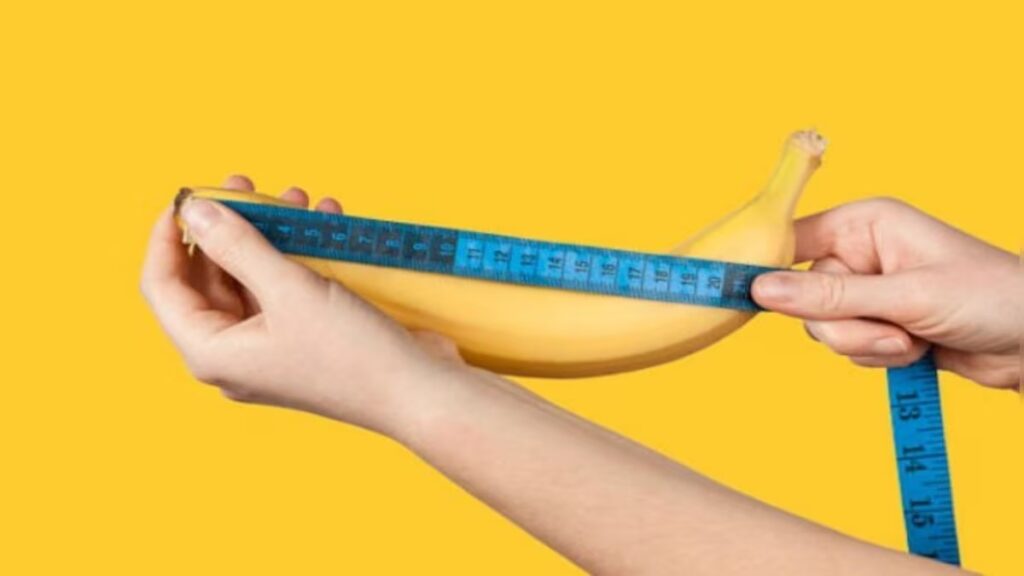 Average Penis Size
